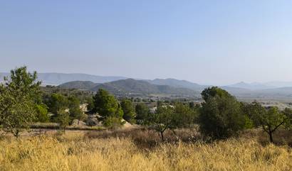 Bestaande woningen - Commercieel - Casas del Senor