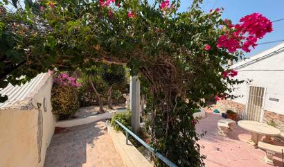 Bestaande woningen - House - Orihuela - Torremendo