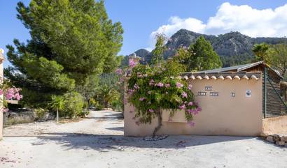 Bestaande woningen -  - La Zarza - La Zarza Murcia