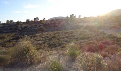 Bestaande woningen - Land - Abanilla