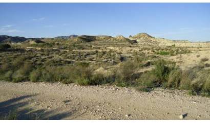 Bestaande woningen - Land - Abanilla