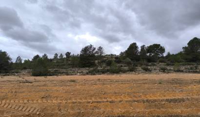 Bestaande woningen - Land - Chinorlet