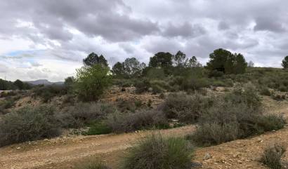 Bestaande woningen - Land - Chinorlet