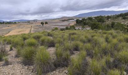 Bestaande woningen - Land - Chinorlet