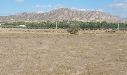 Bestaande woningen - Land - Hondón de las Nieves