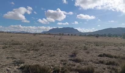 Bestaande woningen - Land - Salinas