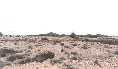 Bestaande woningen - Land - Salinas