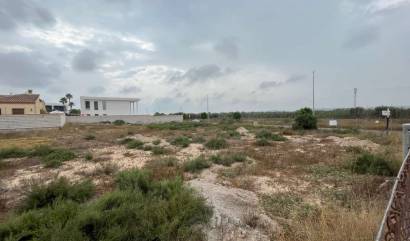 Bestaande woningen - Land - San Fulgencio