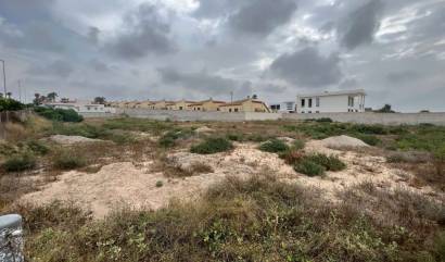 Bestaande woningen - Land - San Fulgencio