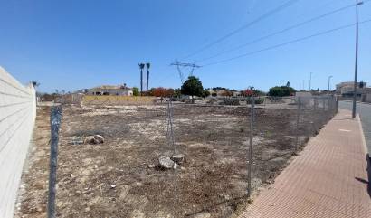 Bestaande woningen - Land - San Fulgencio