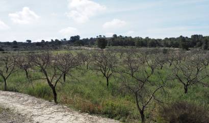 Bestaande woningen - Land - San Miguel de Salinas - Torremendo