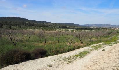 Bestaande woningen - Land - San Miguel de Salinas - Torremendo