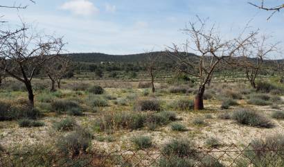 Bestaande woningen - Land - San Miguel de Salinas - Torremendo