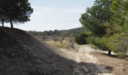 Bestaande woningen - Land - San Miguel de Salinas - Torremendo