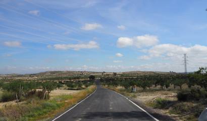 Bestaande woningen - Land - San Miguel de Salinas - Torremendo