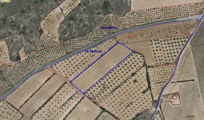 Bestaande woningen - Land - Yecla
