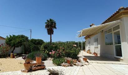 Bestaande woningen - Landelijk huis - Albatera