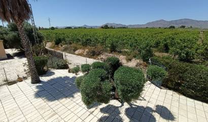 Bestaande woningen - Landelijk huis - Albatera