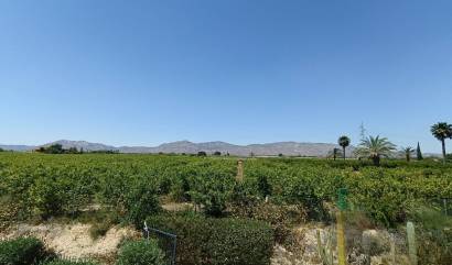 Bestaande woningen - Landelijk huis - Albatera