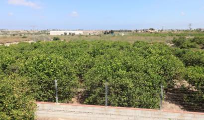 Bestaande woningen - Landelijk huis - Algorfa