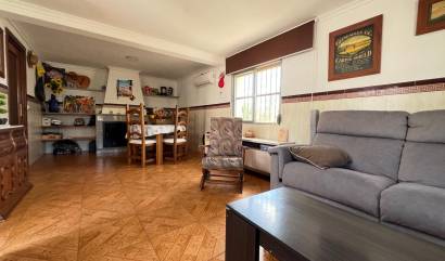 Bestaande woningen - Landelijk huis - Alguena