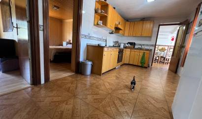 Bestaande woningen - Landelijk huis - Alguena