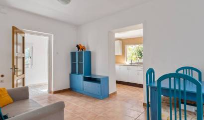 Bestaande woningen - Landelijk huis - Catral