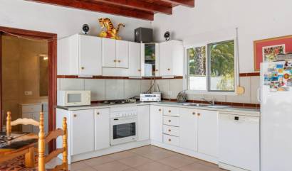 Bestaande woningen - Landelijk huis - Catral