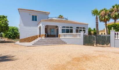 Bestaande woningen - Landelijk huis - Catral