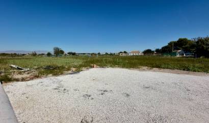Bestaande woningen - Landelijk huis - Dolores - Comunidad Valenciana