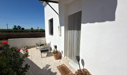 Bestaande woningen - Landelijk huis - Dolores - Comunidad Valenciana