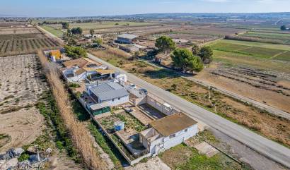 Bestaande woningen - Landelijk huis - Elche Pedanías - Daimés