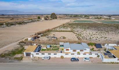 Bestaande woningen - Landelijk huis - Elche Pedanías - Daimés