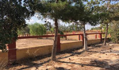 Bestaande woningen - Landelijk huis - Los Montesinos