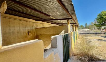 Bestaande woningen - Landelijk huis - Los Montesinos