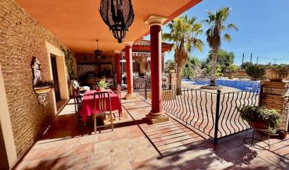 Bestaande woningen - Landelijk huis - Los Montesinos