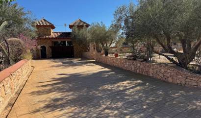 Bestaande woningen - Landelijk huis - Los Montesinos