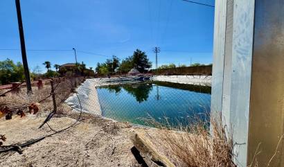 Bestaande woningen - Landelijk huis - Los Montesinos