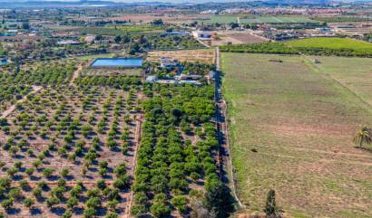 Bestaande woningen - Landelijk huis - Los Montesinos