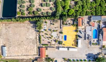 Bestaande woningen - Landelijk huis - Los Montesinos