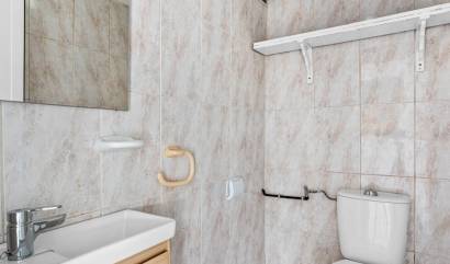 Bestaande woningen - Landelijk huis - Los Montesinos