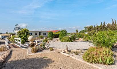 Bestaande woningen - Landelijk huis - Los Montesinos