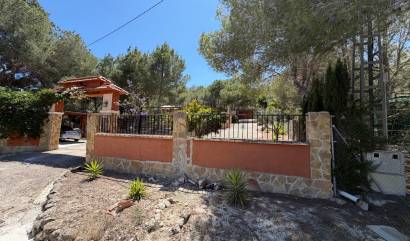 Bestaande woningen - Landelijk huis - Orihuela - Torremendo