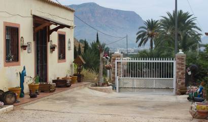 Bestaande woningen - Landelijk huis - Orihuela