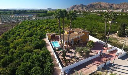 Bestaande woningen - Landelijk huis - Orihuela