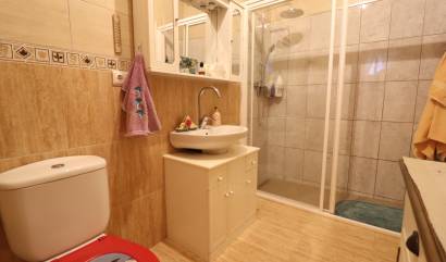 Bestaande woningen - Landelijk huis - Orihuela