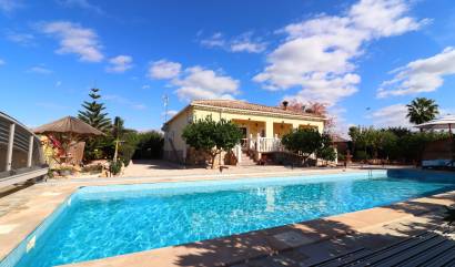 Bestaande woningen - Landelijk huis - Orihuela