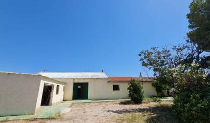 Bestaande woningen - Landelijk huis - Pinoso