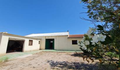 Bestaande woningen - Landelijk huis - Pinoso