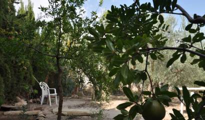 Bestaande woningen - Landelijk huis - Pinoso